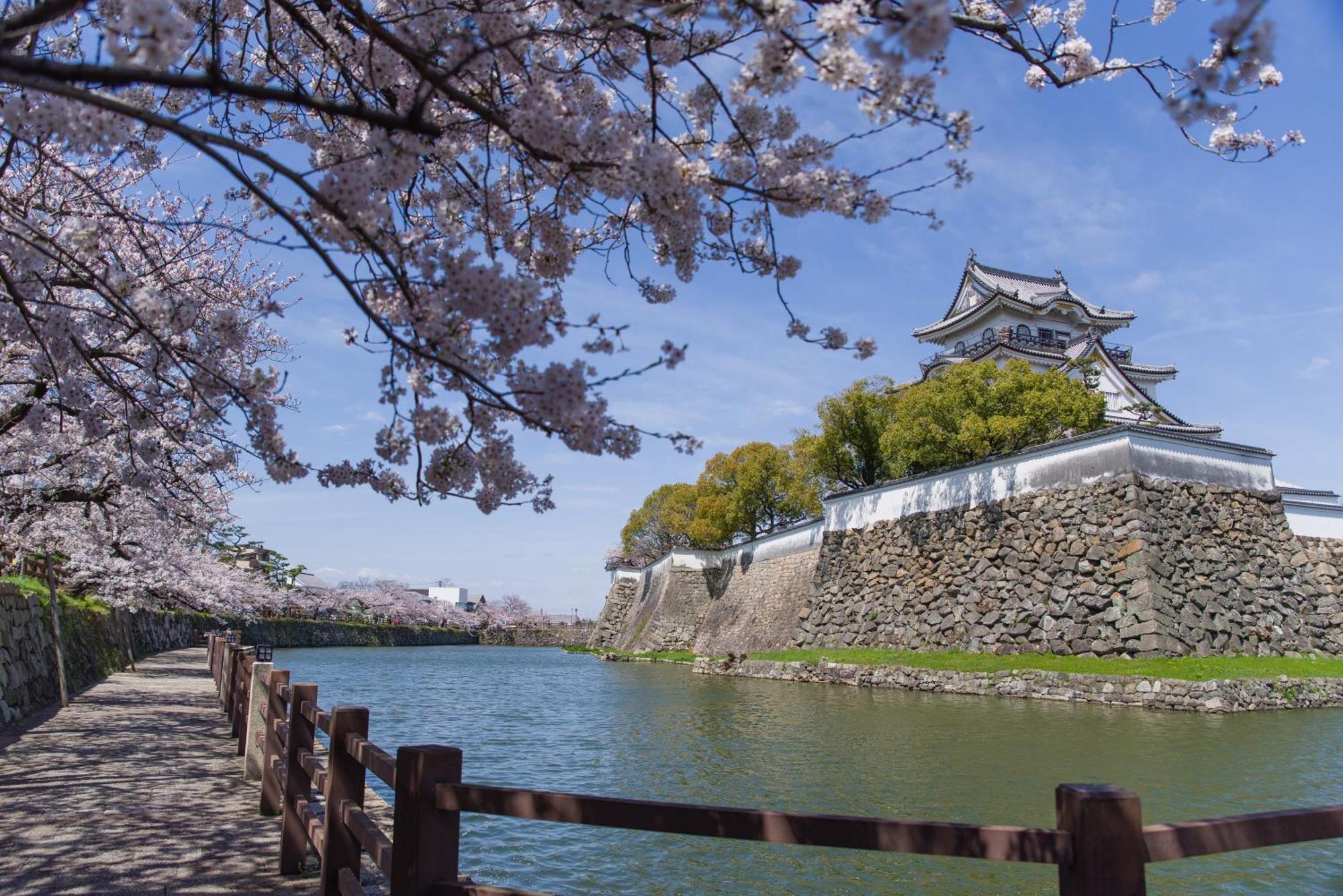 شقة Namba Shinsaibashi 10 Mins Osaka Castle　East المظهر الخارجي الصورة