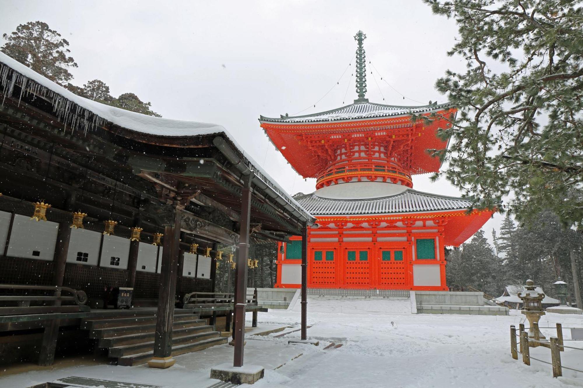 شقة Namba Shinsaibashi 10 Mins Osaka Castle　East المظهر الخارجي الصورة